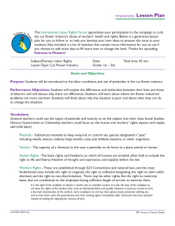 Flower Workers Lesson Plans Grades K-12