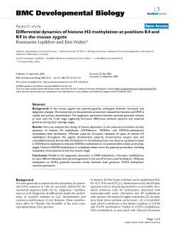 Differential dynamics of histone H3 methylation at positions K4 and