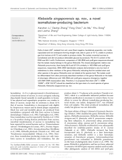 Klebsiella singaporensis sp. nov., a novel isomaltulose