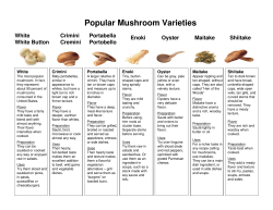 Mushroom Varieties - Capitol City Produce