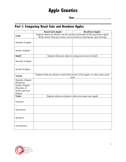 Apple Genetics worksheet