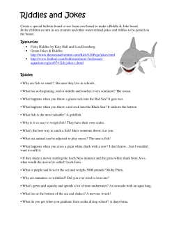 Riddles and Jokes Riddles and Jokes