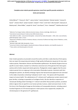 Complete avian malaria parasite genomes reveal host