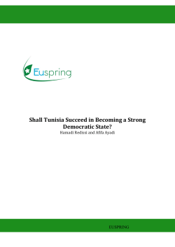 Shall Tunisia Succeed in Becoming a Strong Democratic State?