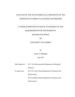 analysis of the mycochemicals components of the indigenous