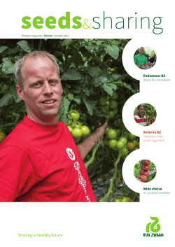 Endeavour RZ Beautiful tomatoes Roterno RZ Tastiest in the small