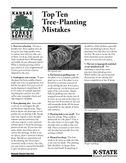 MF3238 Top Ten Tree-Planting Mistakes
