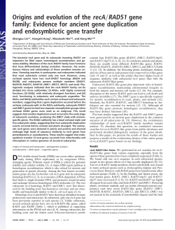 Origins and evolution of the recA RAD51 gene family: Evidence for