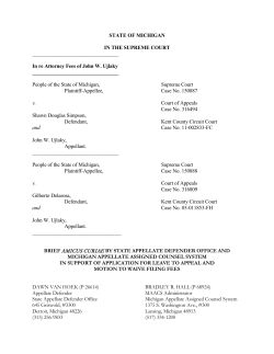 Amicus Curiae Brief - State Appellate Defender Office