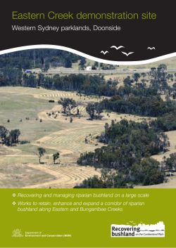 Eastern Creek demonstration site