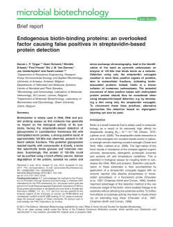 Endogenous biotin‐binding proteins: an overlooked factor causing