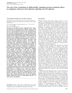The role of the cytoskeleton in differentially