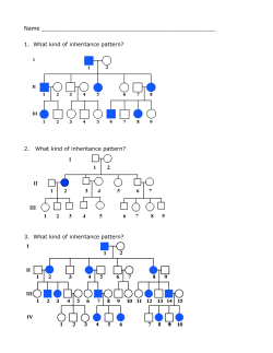 pedigree examples - Helena High School