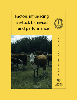 Factors influencing livestock behaviour and performance