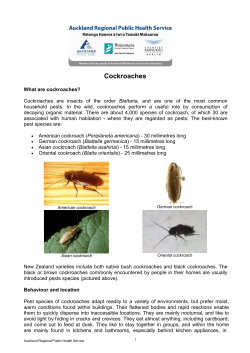 Cockroaches - Auckland Regional Public Health Service