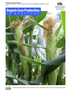 Organic Corn Production in Kentucky
