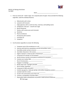 BIO101 Cell Biology Worksheet Fall 2009 Name 1. Draw an animal