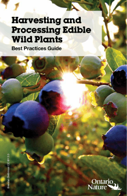 Harvesting and Processing Edible Wild Plants Best