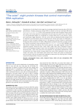 "The octet": eight protein kinases that control mammalian DNA