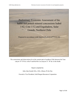 Preliminary Economic Assessment of the halite and potash mineral