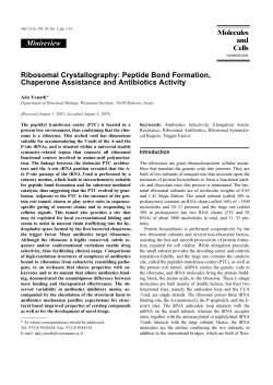 Mol Cells, 20, 1-16 (2005) - Weizmann Institute of Science