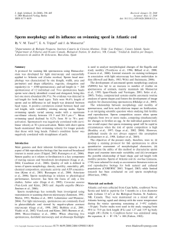 Sperm morphology and its influence on swimming