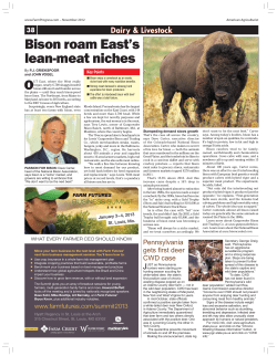 Bison roam East`s lean-meat niches