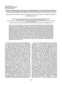 Extensive Morphological Convergence and