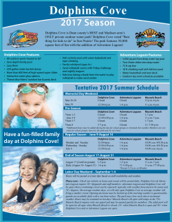 Dolphins Cove - Prairie Athletic Club