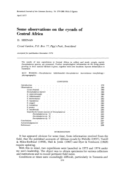 Some observations on the cycads of Central Africa