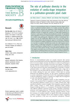 The role of pollinator diversity in the evolution of corolla