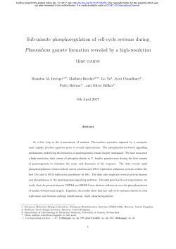 Sub-minute phosphoregulation of cell-cycle systems