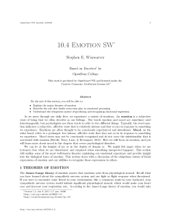 10.4 Emotion SW