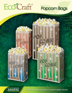EcoCraft Popcorn Bags