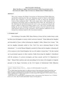 One Year Isn`t Enough: How the Hague