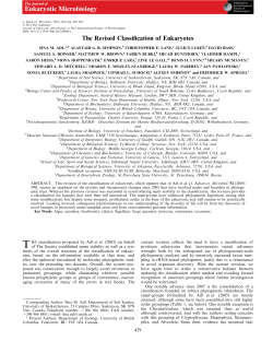 The Revised Classification of Eukaryotes