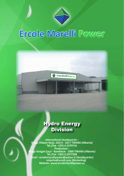 Hydro Energy Division - ercole marelli power