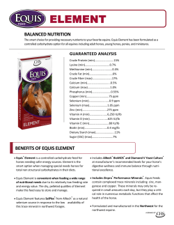 element - Equis Feed