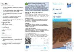 31 Rare and Unusual Species –
