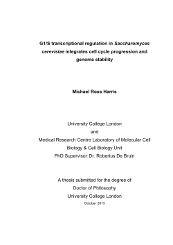 G1/S transcriptional regulation in Saccharomyces