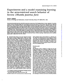 Experiments and a model examining learning in the area