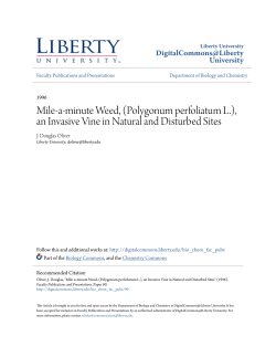 Mile-a-minute Weed, (Polygonum perfoliatum L.), an Invasive Vine