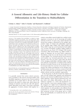 A General Allometric and Life-History Model for Cellular