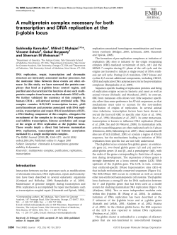 A multiprotein complex necessary for both transcription and DNA