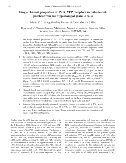 Single channel properties of P2X ATP receptors in outside-out