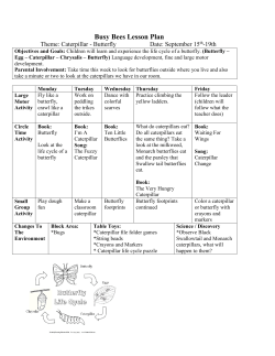 Busy Bees Lesson Plan