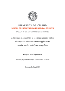 Gelatinous zooplankton in Icelandic coastal waters with