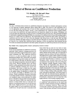 Effect of Boron on Cauliflower Production