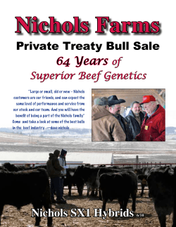 SX1 Hybrids - Nichols Farms