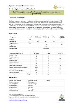 DAS Eucalyptus amygdalina forest and woodland on sandstone